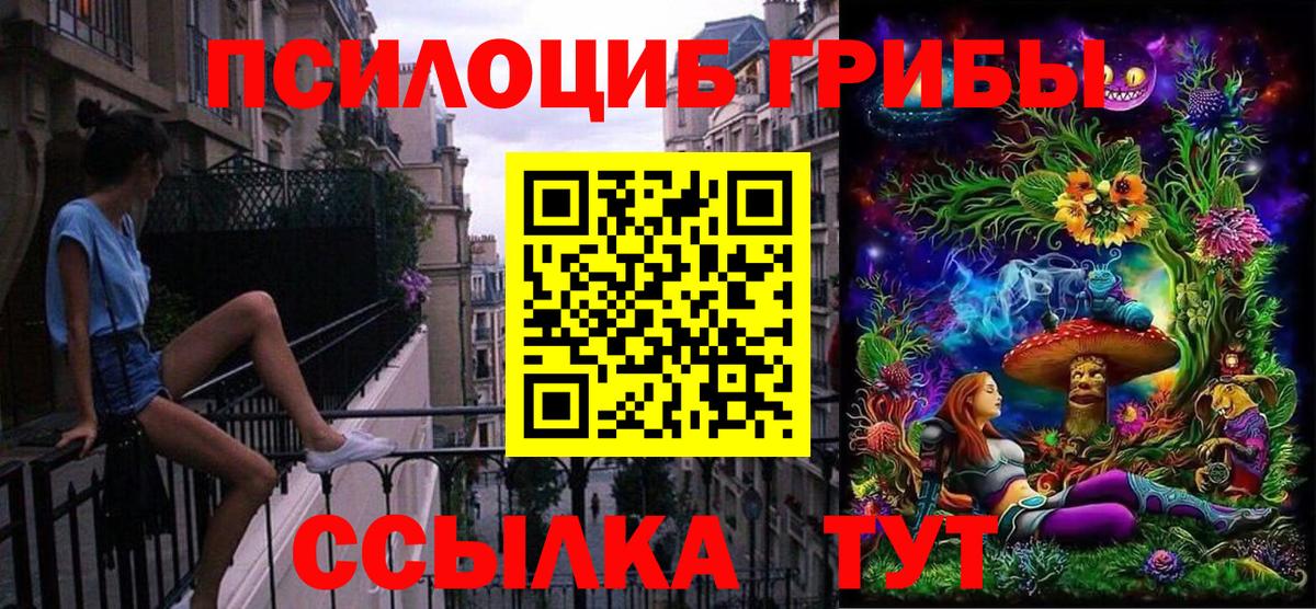 Галлюциногенные грибы ЛСД  Вход с VPN  Электросталь  Псилоцибиновые грибы мицелий 